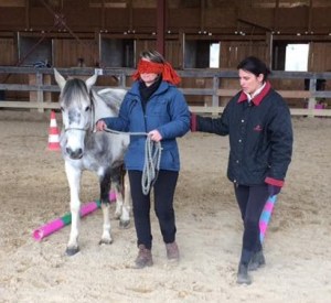 guidage Sylive rogné